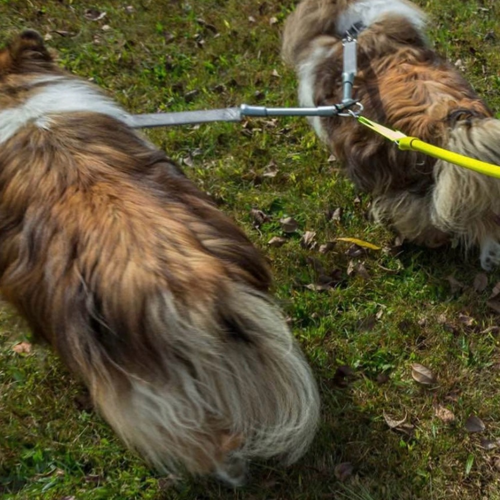 Wacky Walker No Pull Leash with Tandem extender. - Picture 3 of 9